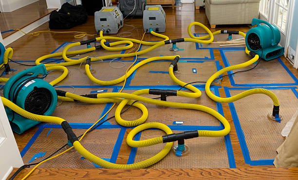 Professional Water Damage Restoration technician working in Edinburg, PA